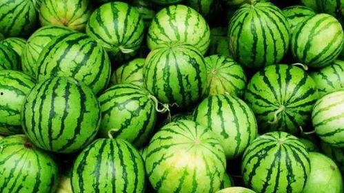 爆炸网今日吃瓜,揭秘娱乐圈最新热点事件