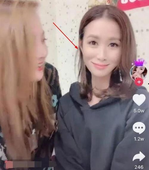 明星网红抱团是谁呀视频