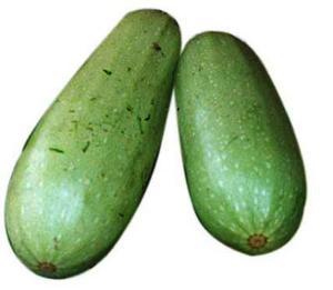 梢瓜批发价格今日表最新,最新行情一览”