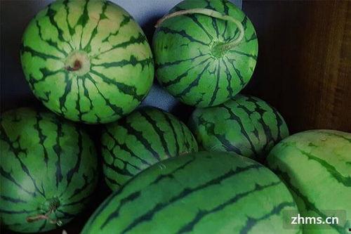 今日菜价麒麟瓜,新鲜上市，品味夏日清新