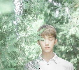 中国明星网红男生图片大全,中国明星网红男生风采大盘点