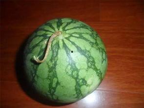 吃瓜网必看大瓜今日吃瓜,今日热点事件深度解析